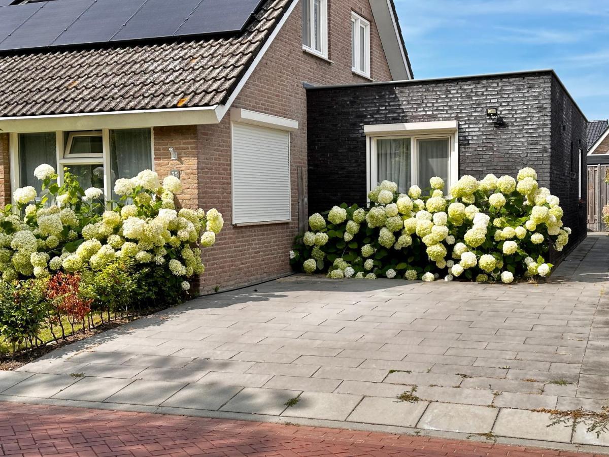 Zoutelande Koddelaan Vakantiewoning Exterior photo